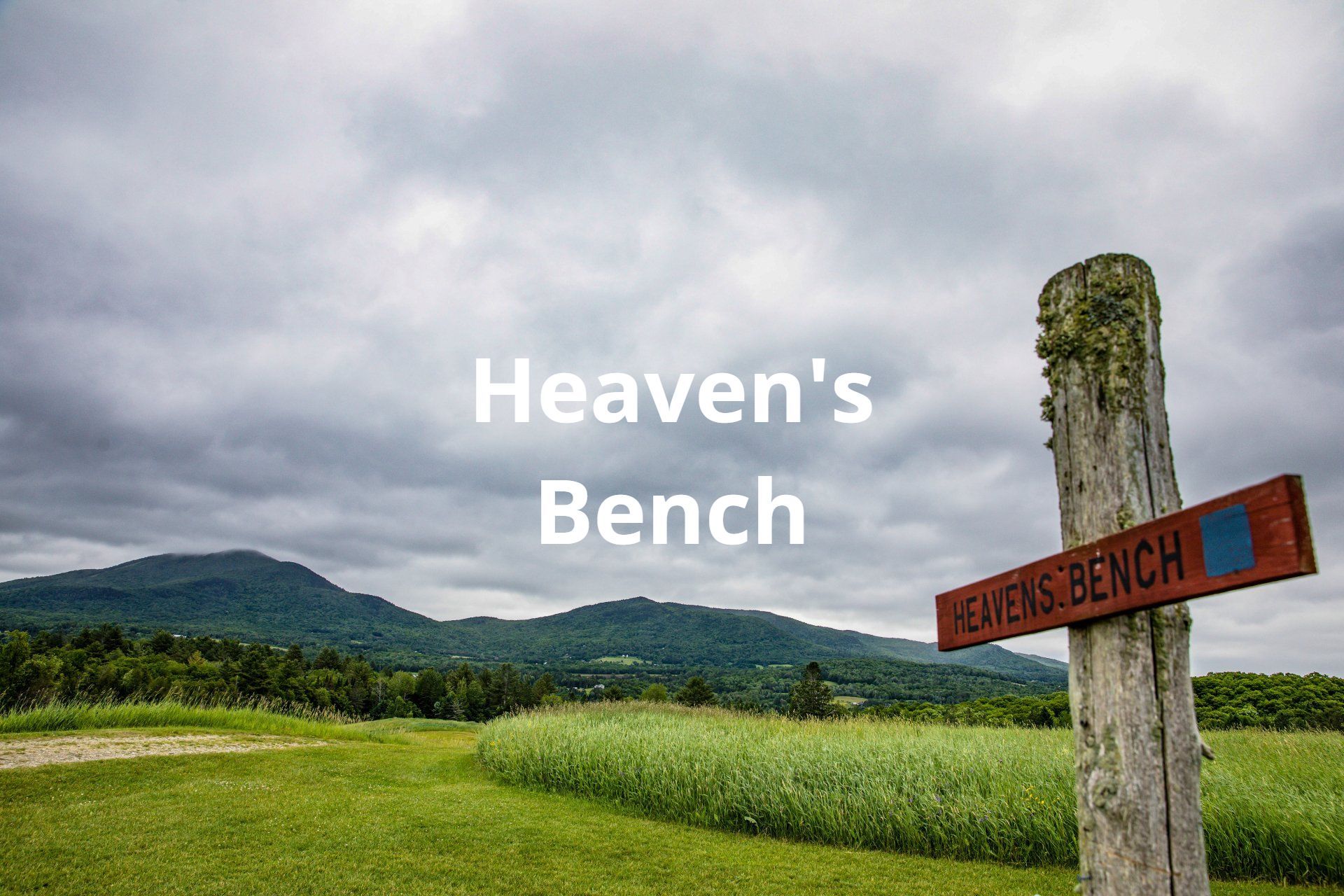 Heaven's Bench Wildflower event location