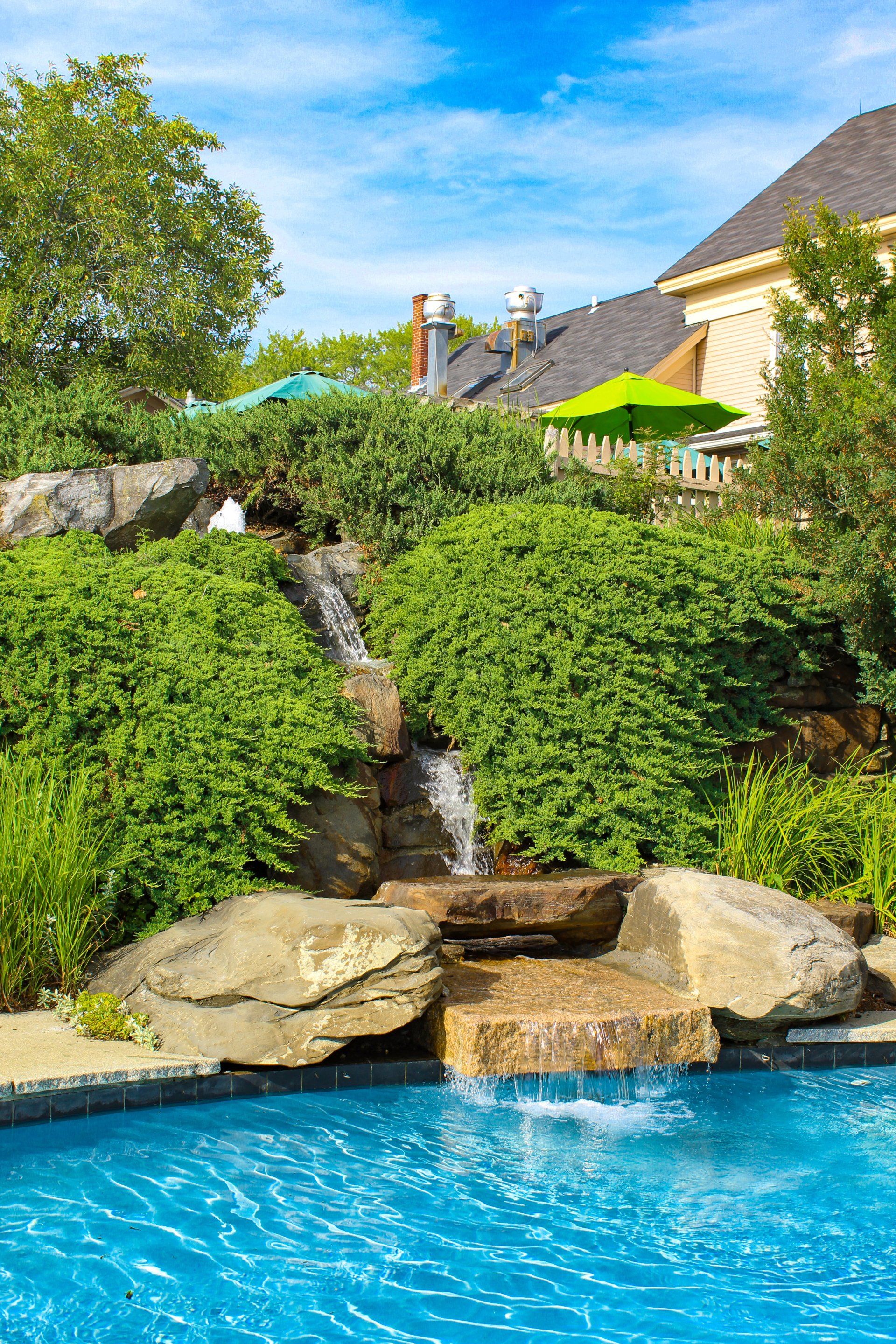 A waterfall with greenery around it, flowing into the pool