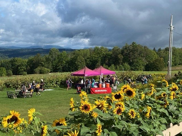 Guests gather around event tents in a field surrounded by sunflowers at the Wildflower Inn property in East Burke, Vermont