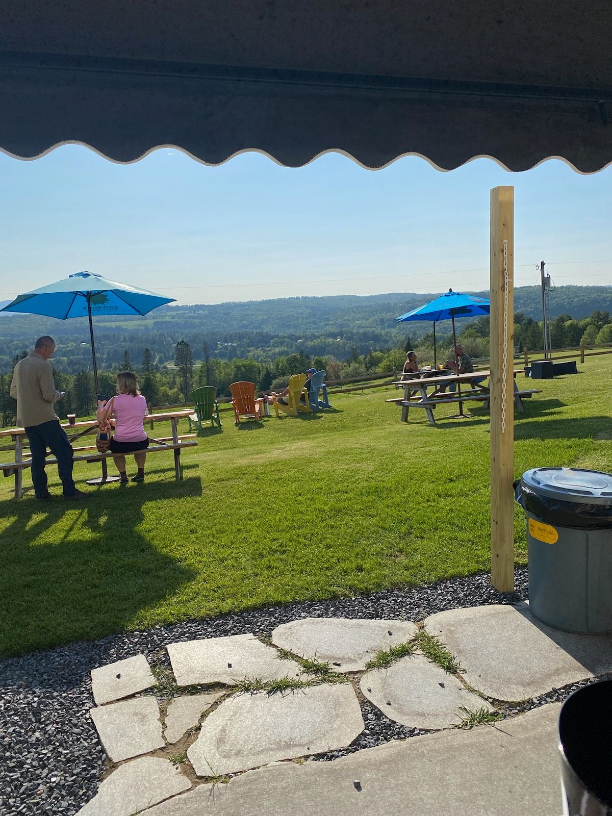 A group of people sit at picnic tables in the sunshine at The Wildflower