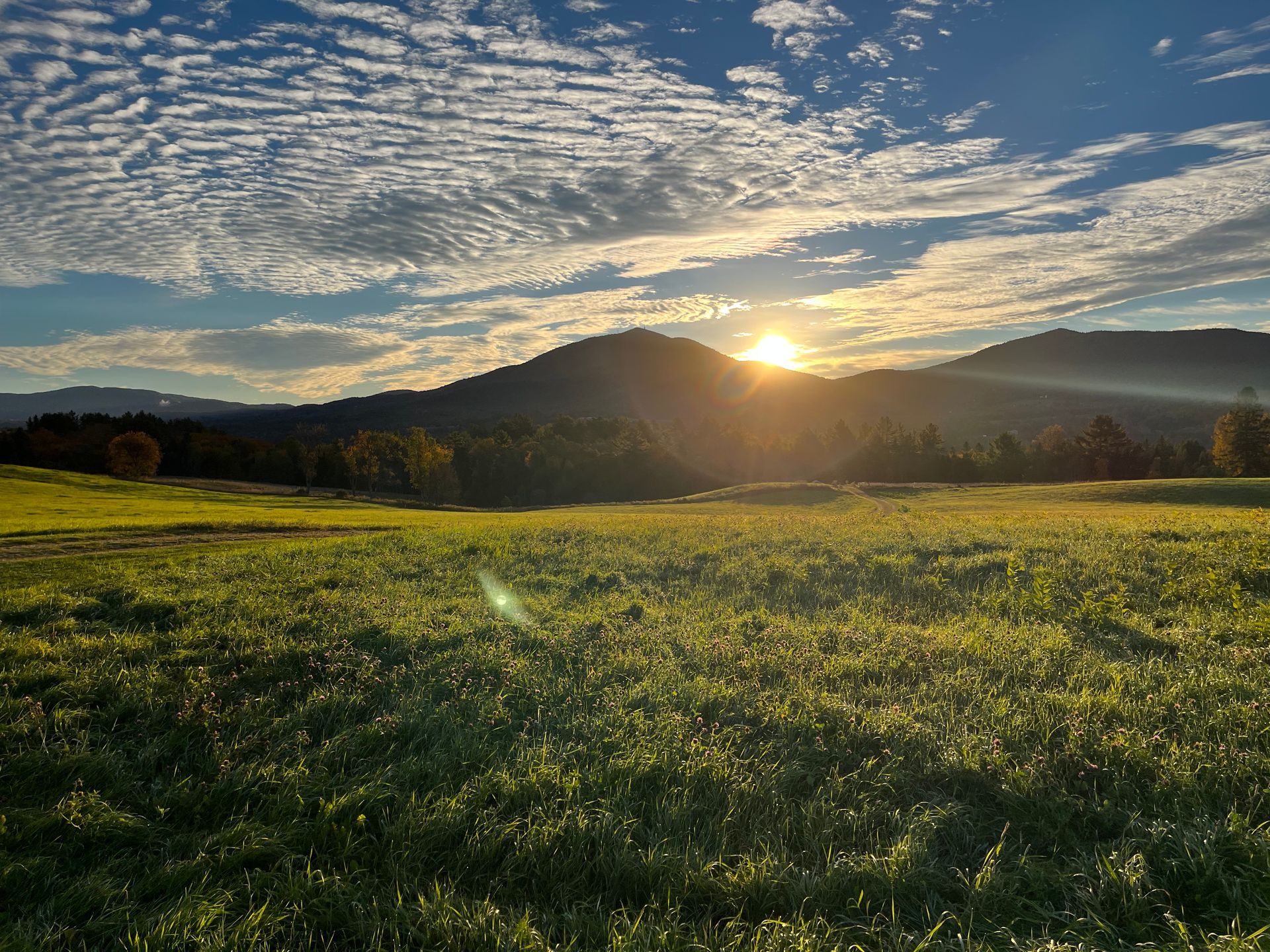 View of Burke Mountain past a green field at sunset