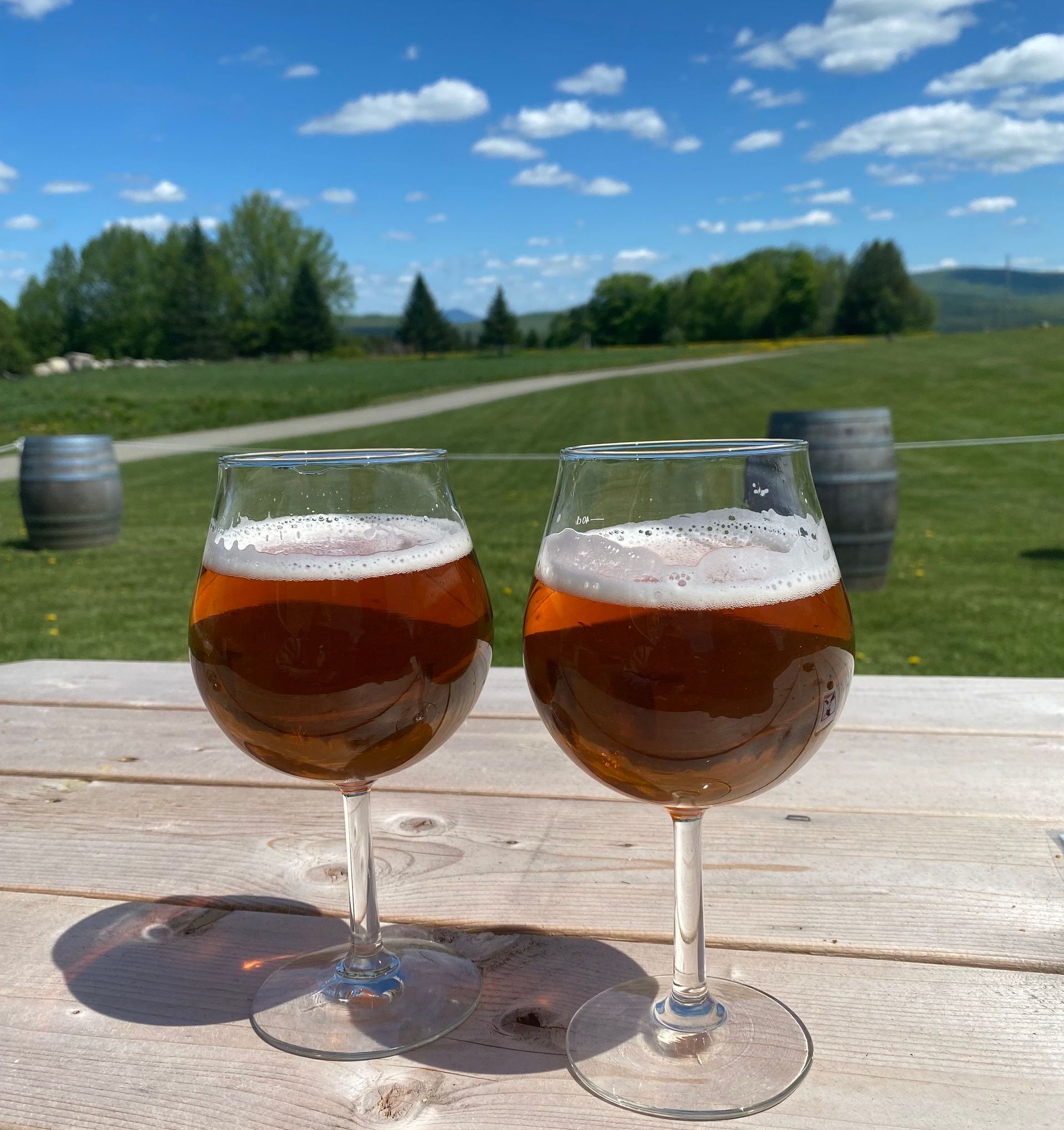 Two beers on a picnic table at Hill Farmstead in the summer