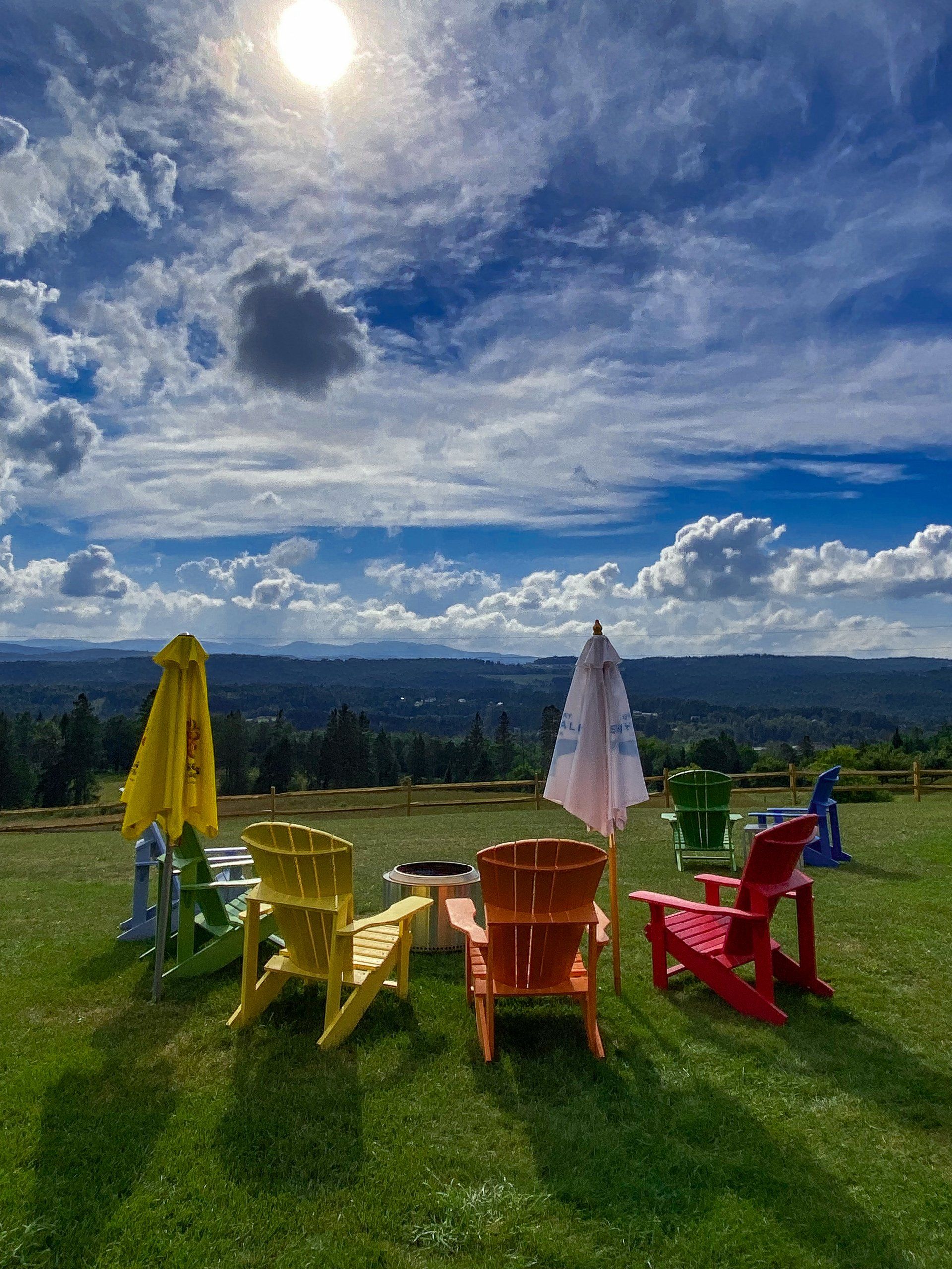 A row of colorful chairs and umbrellas in a grassy field.
