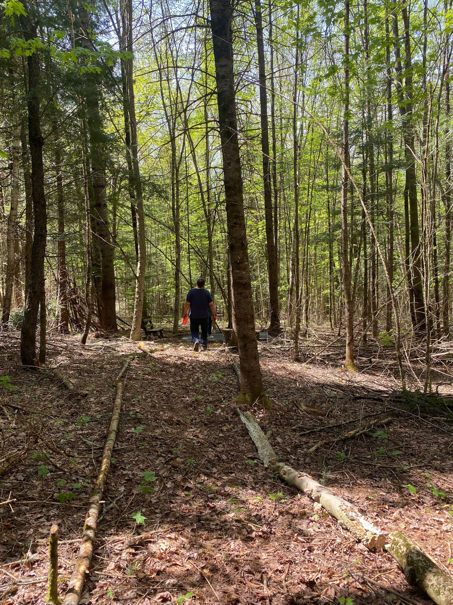 A man playing disc golf at the new frisbee golf course at the Wildflower Inn.