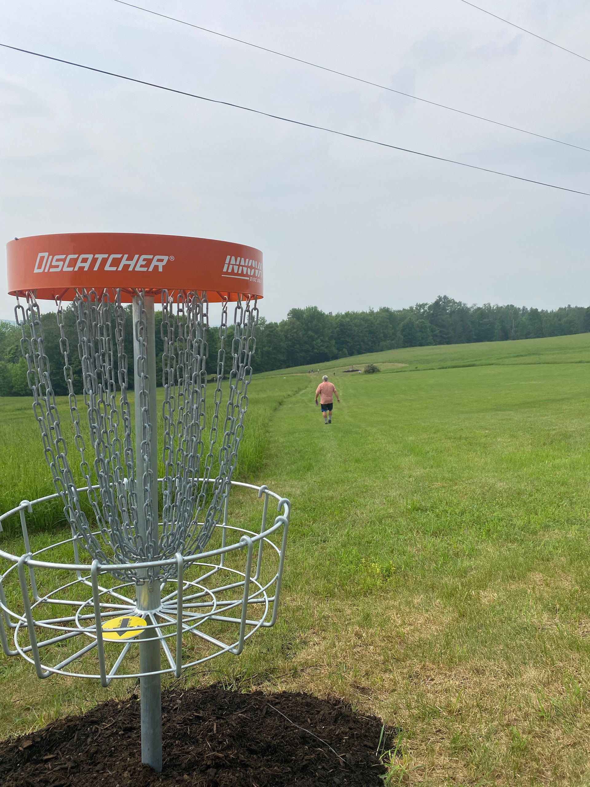A person is playing frisbee golf in a field near a disc catcher  at the Wildflower Inn.