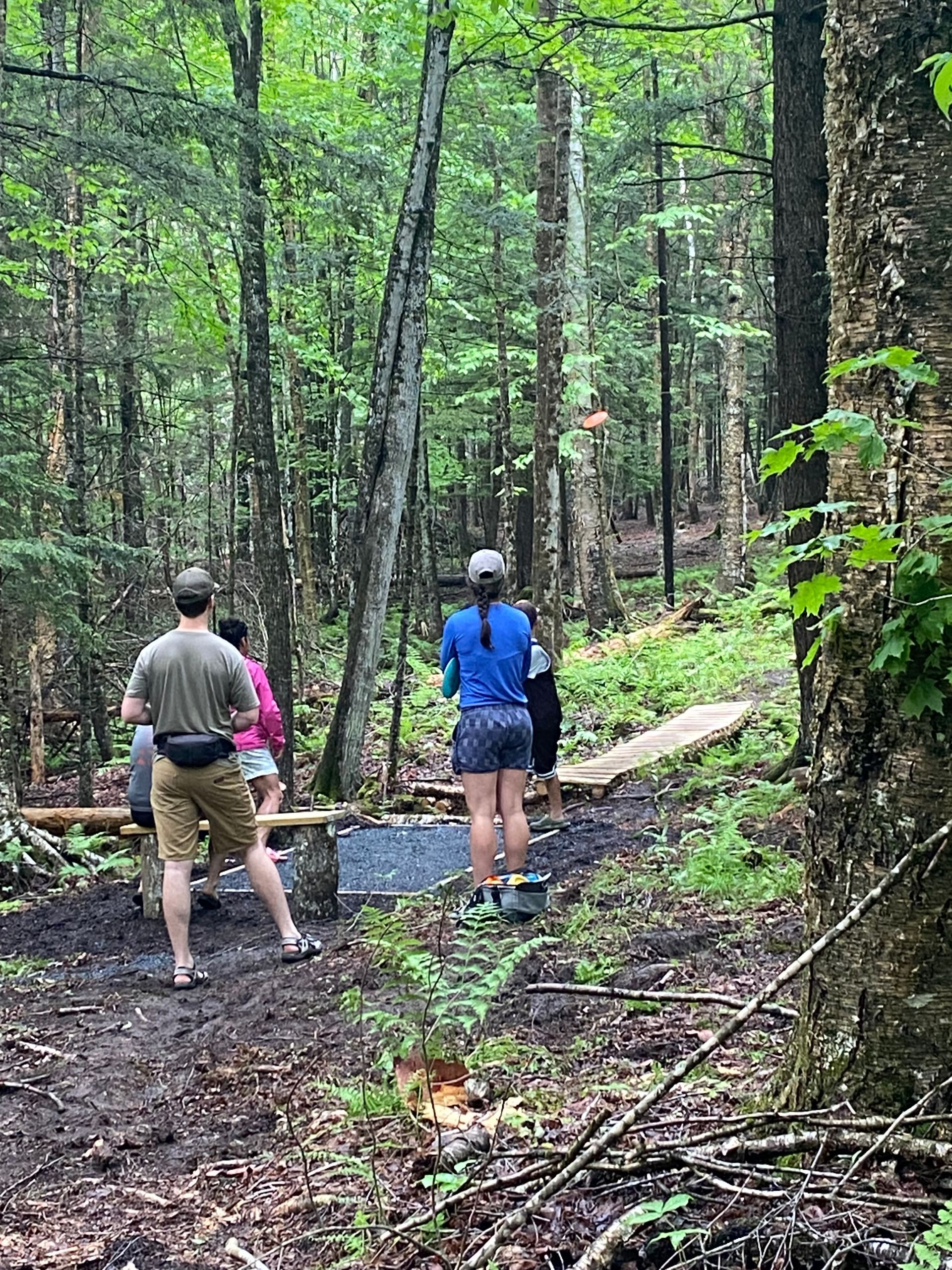 A group of people are playing disc golf at the Wildflower Inn in VT.