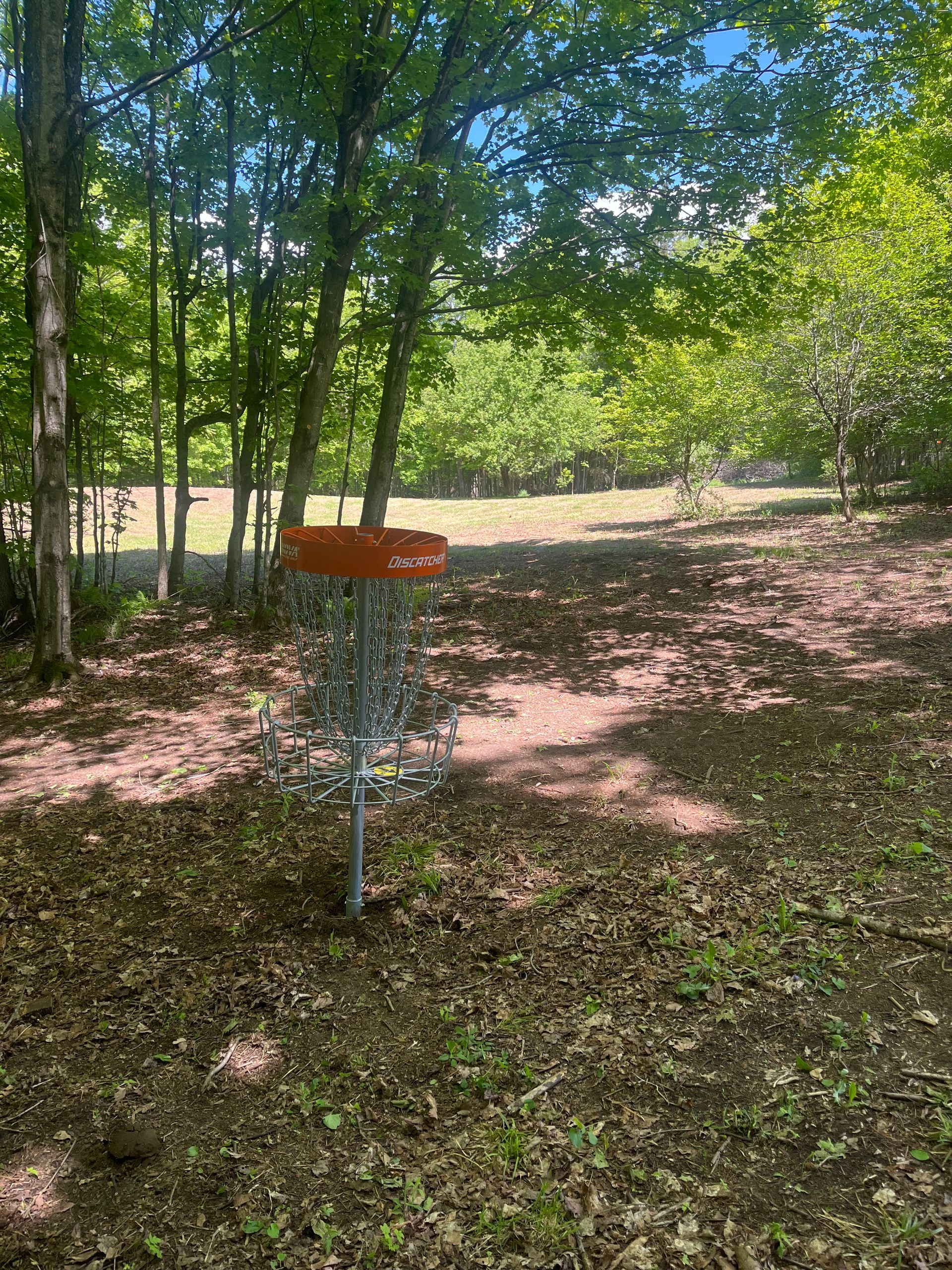 A new disc golf course at the Wildflower Inn in Northern Vermont.