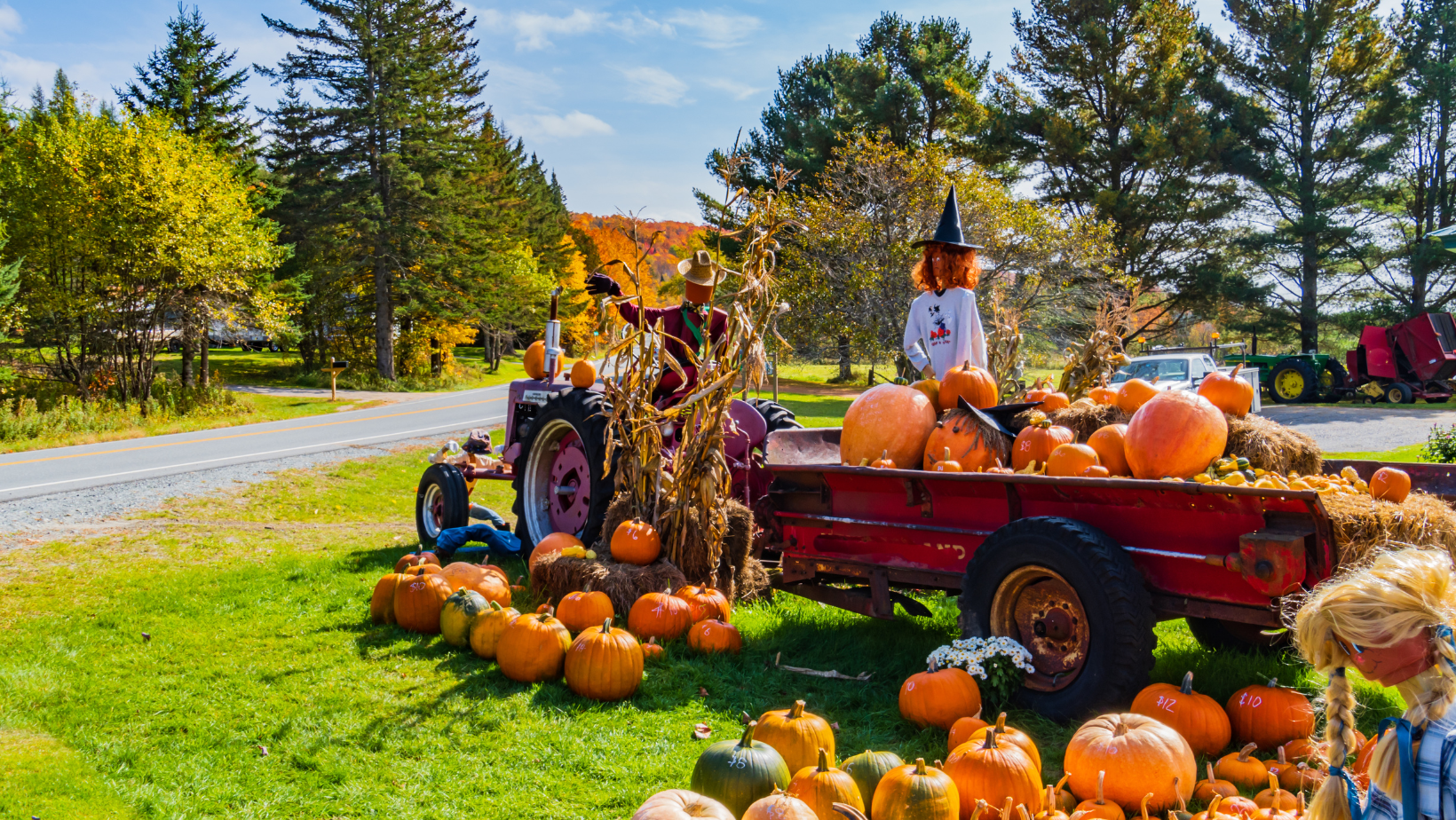 Tractor and wagon full of pumpkins, scarecrows, and corn stalks