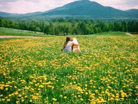 Two women are sitting in a field of yellow flowers with mountains in the background