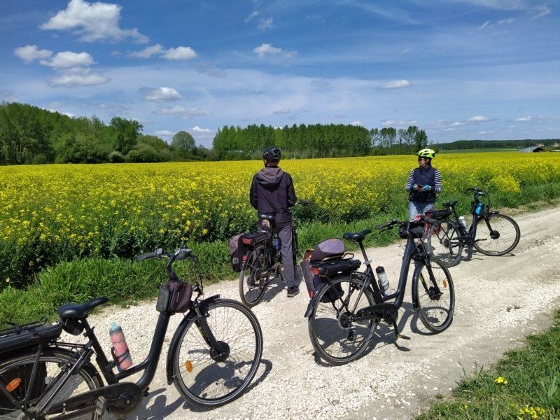 A group of people are riding bicycles down a dirt road in front of a field of yellow flowers.