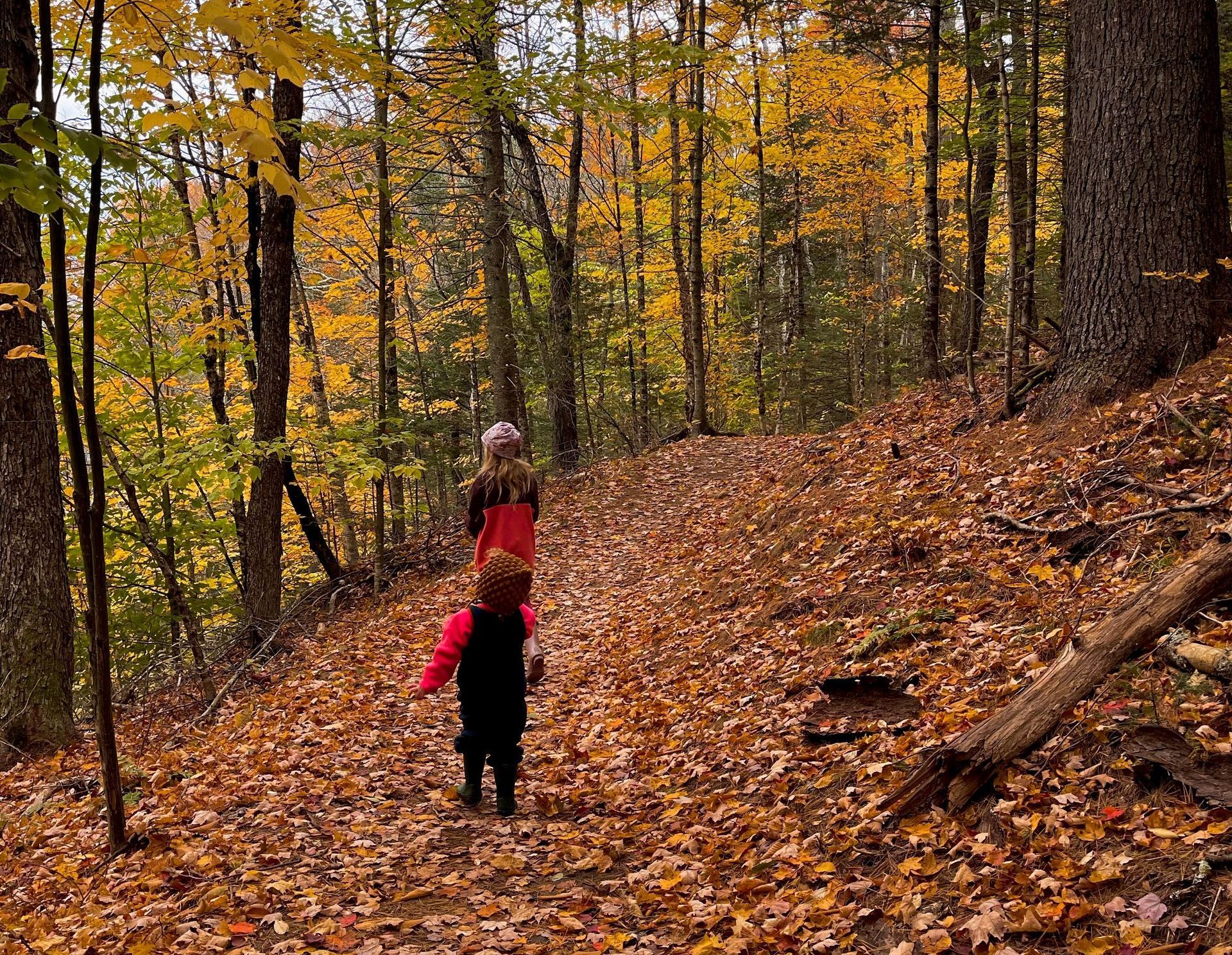 Two children walking in the Vermont woods surrounded by autumn leaves.