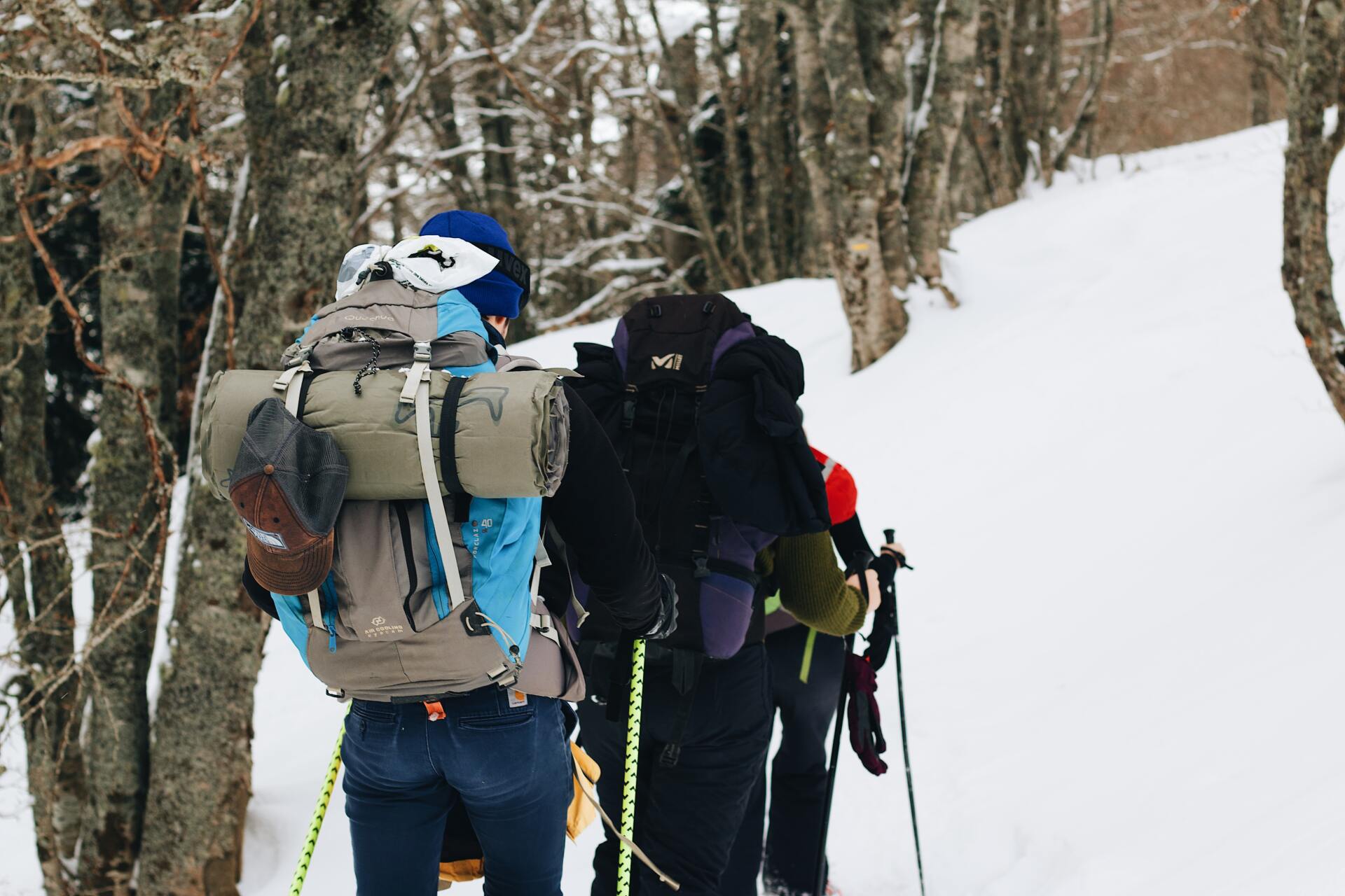 A group of hikers headed up a snow covered trail with hiking poles and packs with adequate winter gear