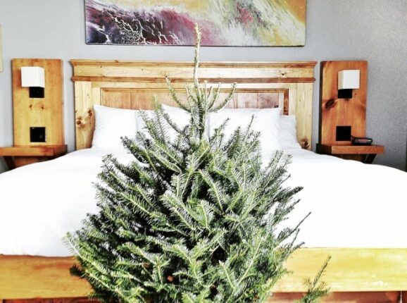 A small christmas tree is sitting in front of a bed