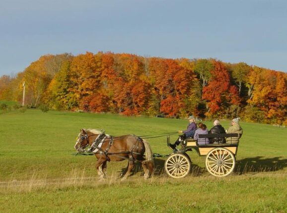 horse drawn carriage in Burke Vermont