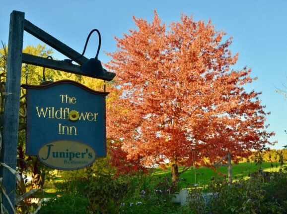 A sign for the wildflower inn hangs in front of a tree