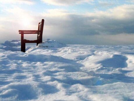A bench is sitting in the middle of a snowy field