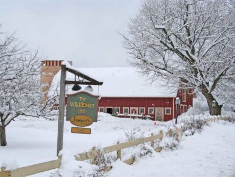 A snowy scene with a sign that says the wildflower inn