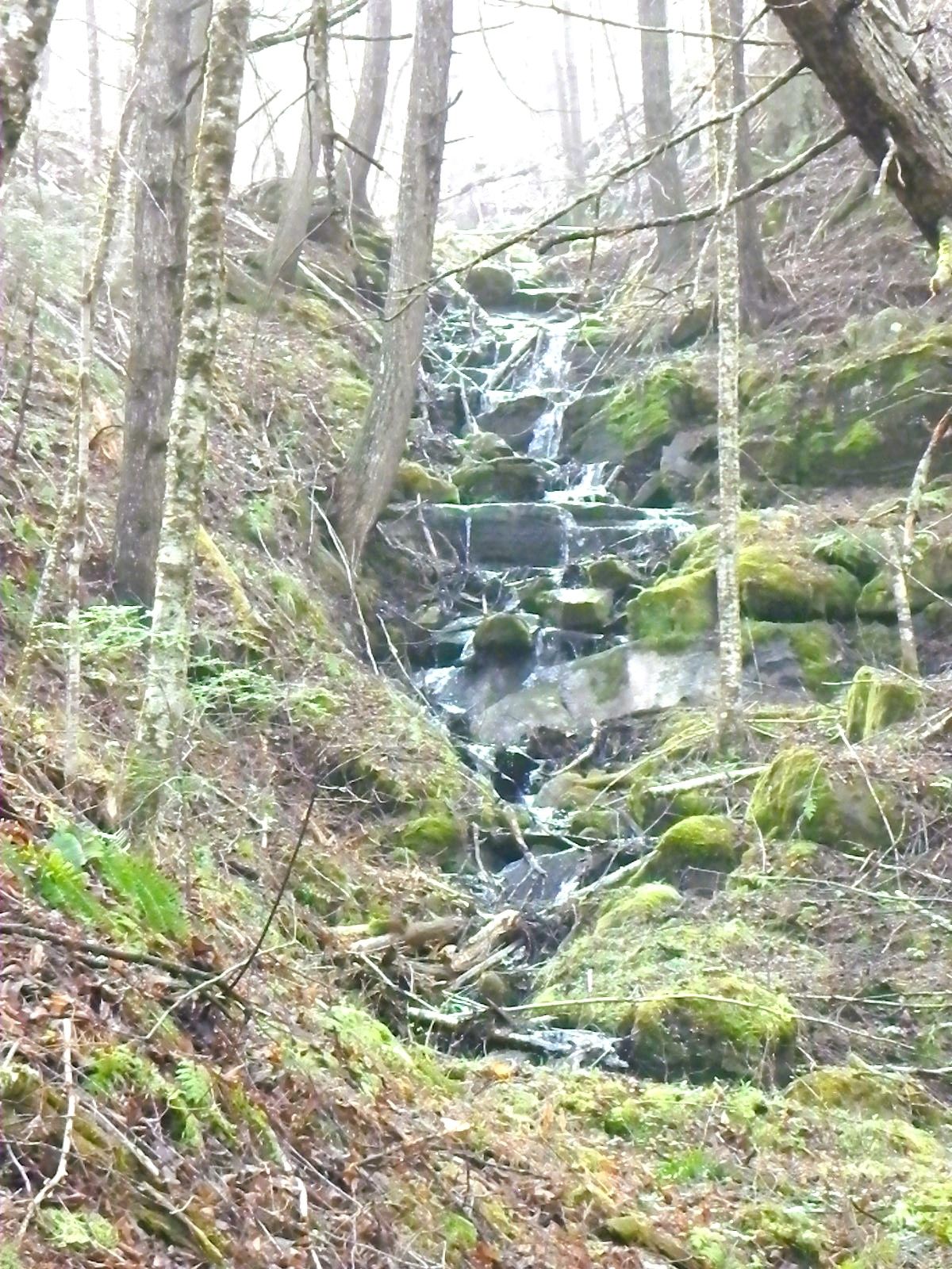 A small waterfall and beaver dam grace The Wildflower Property