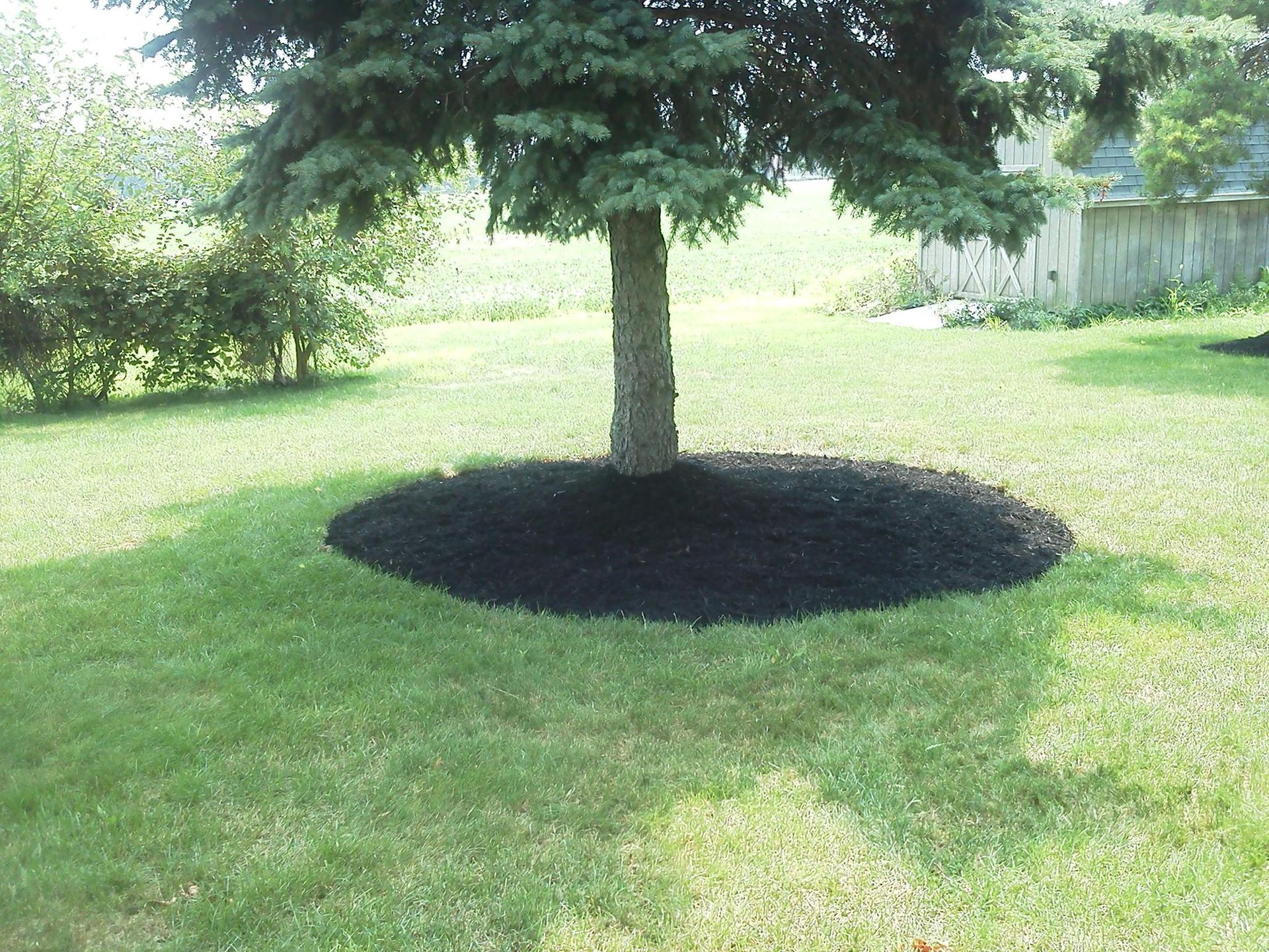 A Tree With Black Soil — Powell, OH — Dependable Landscape Services, Inc.