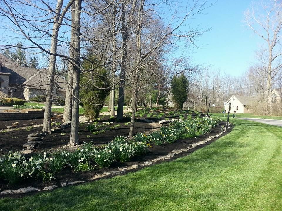 Lush Green Trees — Powell, OH — Dependable Landscape Services, Inc.