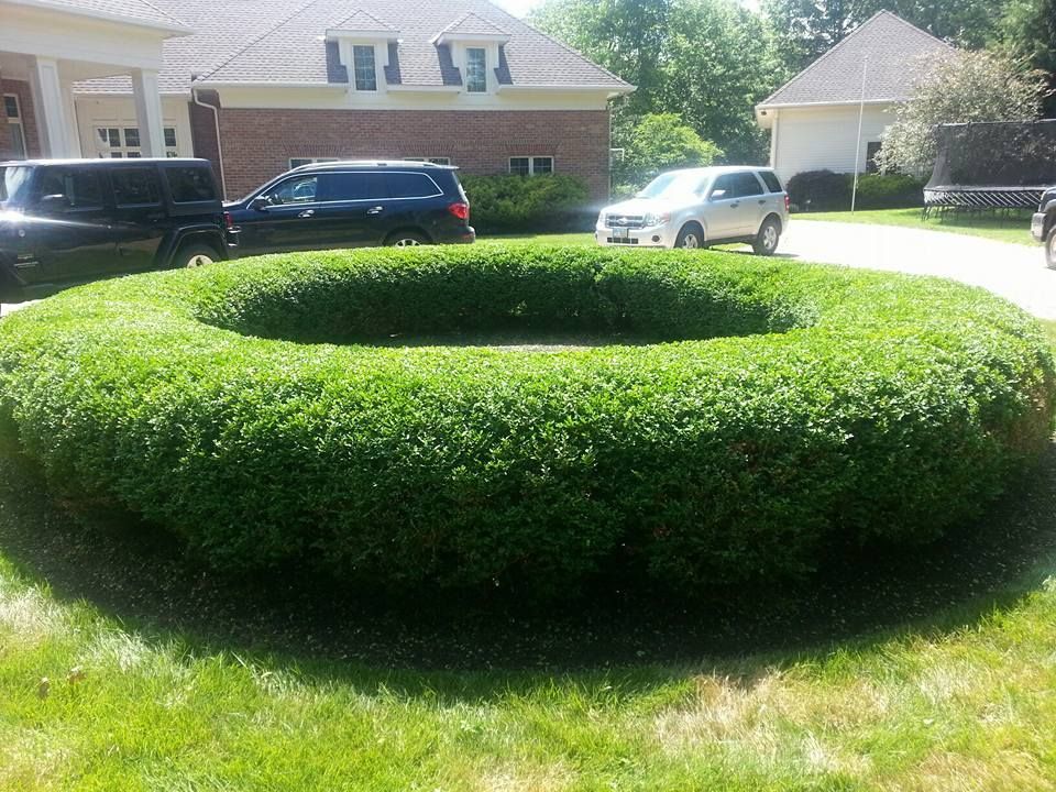 A Circle Hedge — Powell, OH — Dependable Landscape Services, Inc.