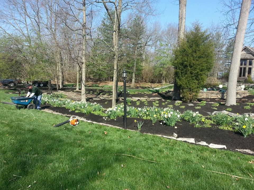 Green Landscape With Tree — Powell, OH — Dependable Landscape Services, Inc.