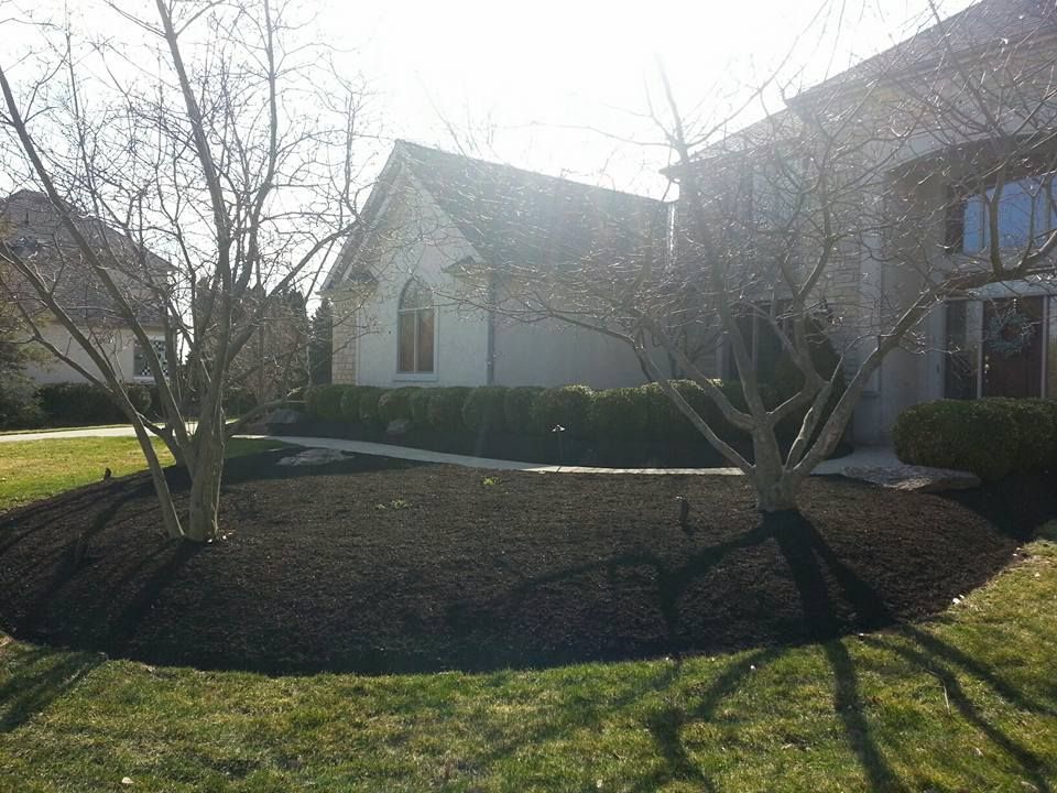 Two Dead Trees — Powell, OH — Dependable Landscape Services, Inc.