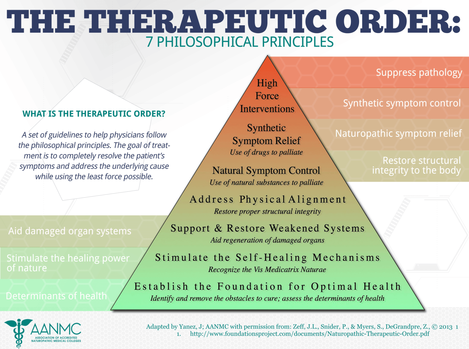 Naturopathic Medicine Therapeutic Order