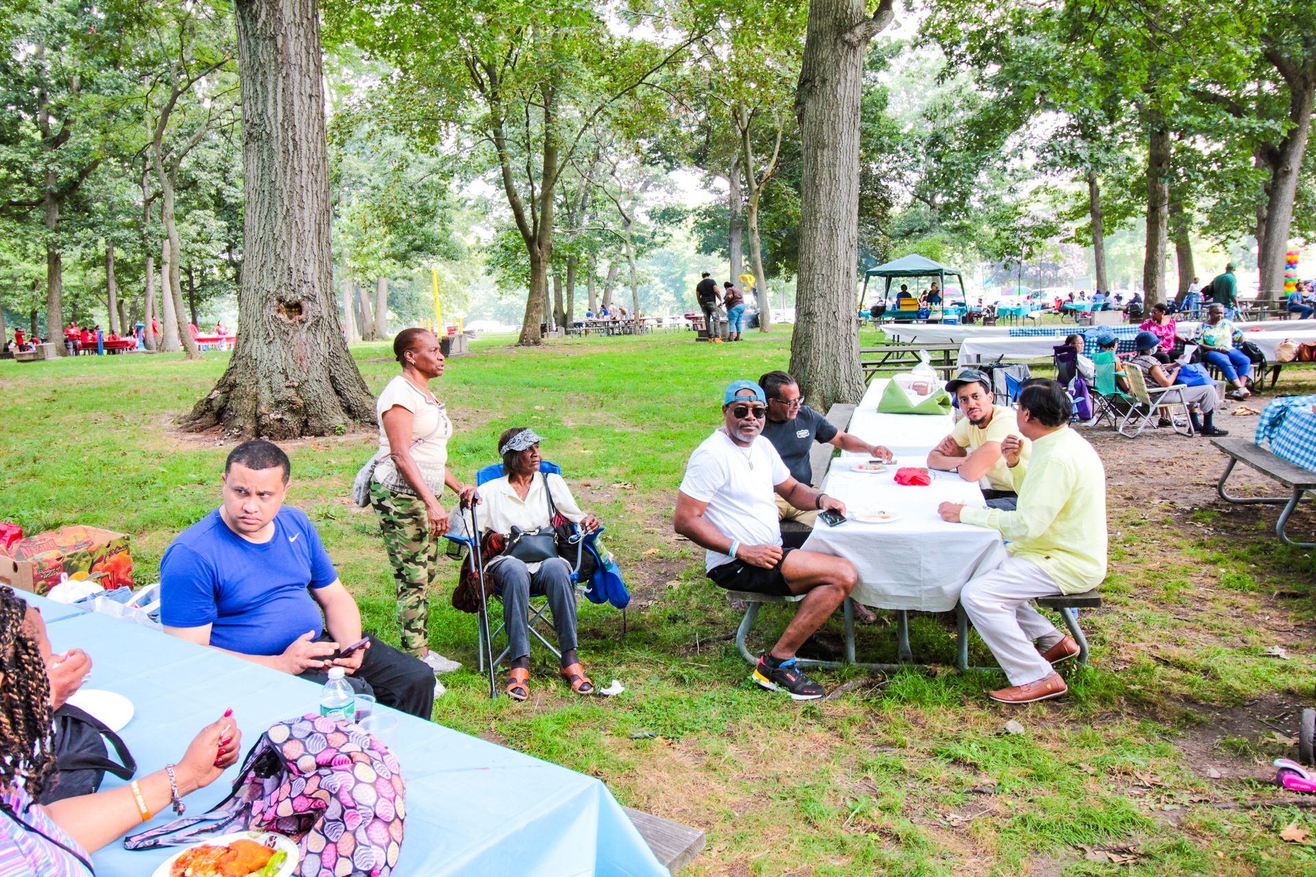 A group of people are sitting at tables in a park.