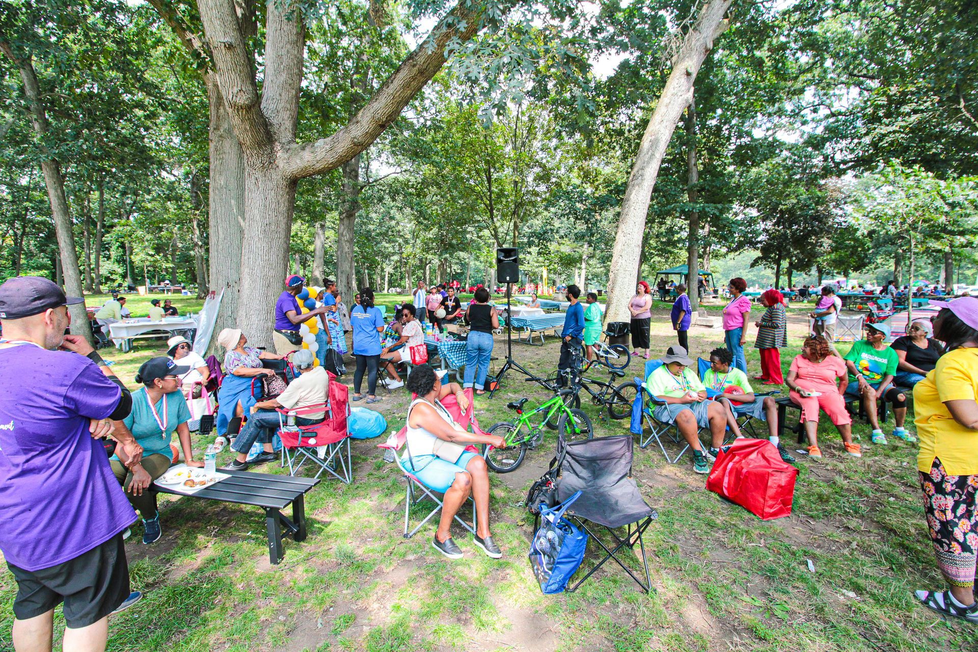 A group of people are sitting in chairs in a park.