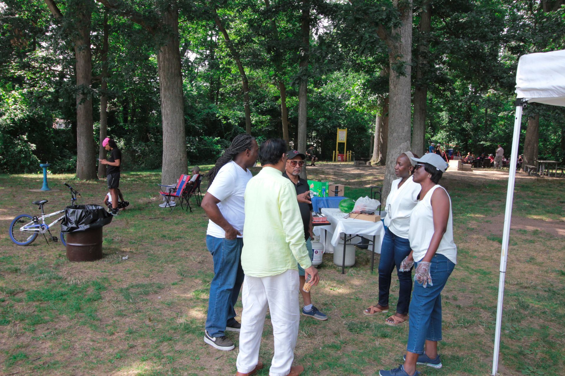 A group of people are standing in a park talking to each other.