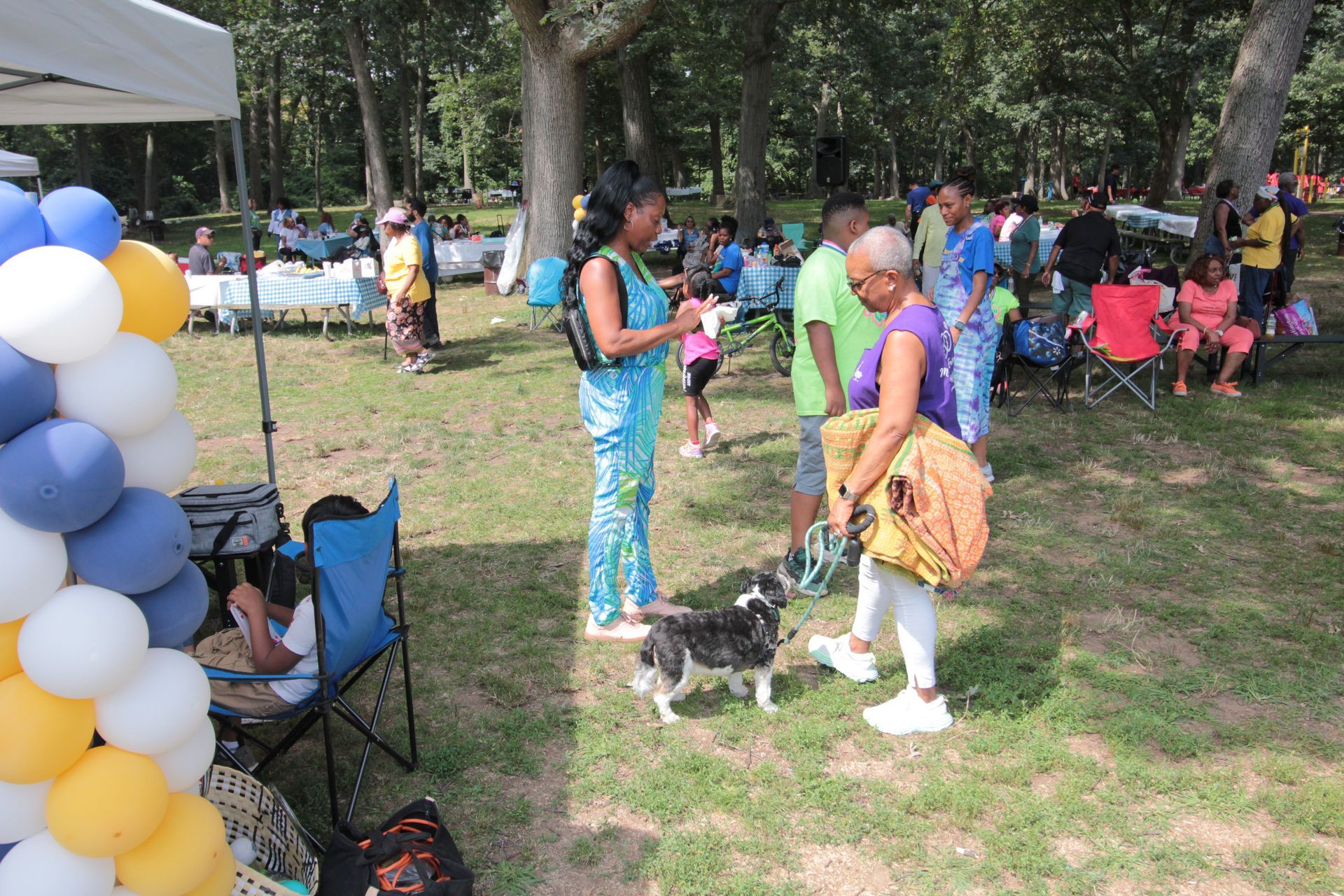A group of people are gathered in a park with balloons in the background