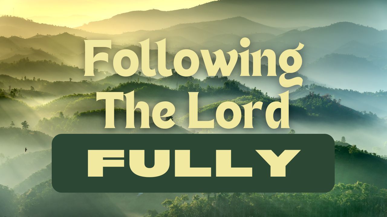A picture of a mountain range with the words `` following the lord fully '' written on it.