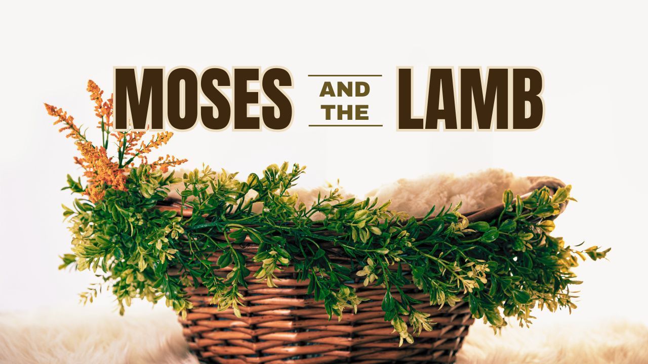 A wicker basket filled with flowers and the words `` moses and the lamb ''.