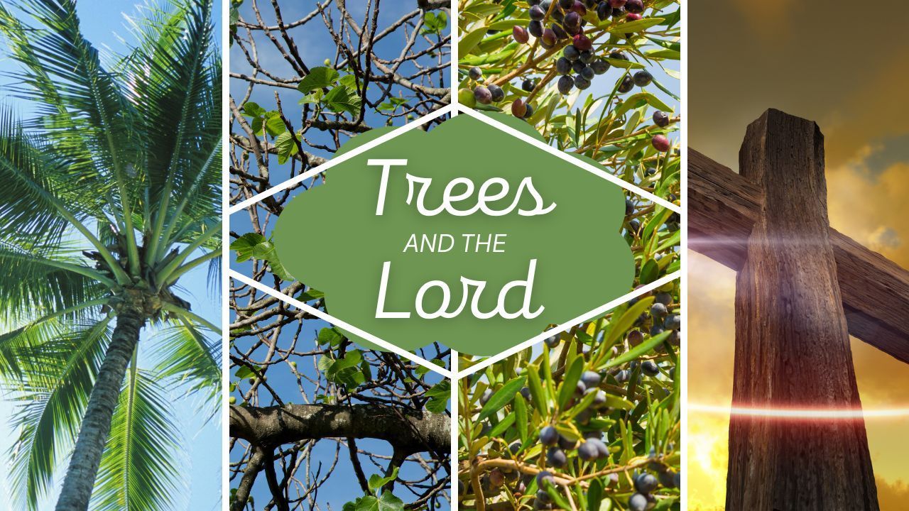 A collage of pictures of trees and a cross with the words `` trees and the lord ''.