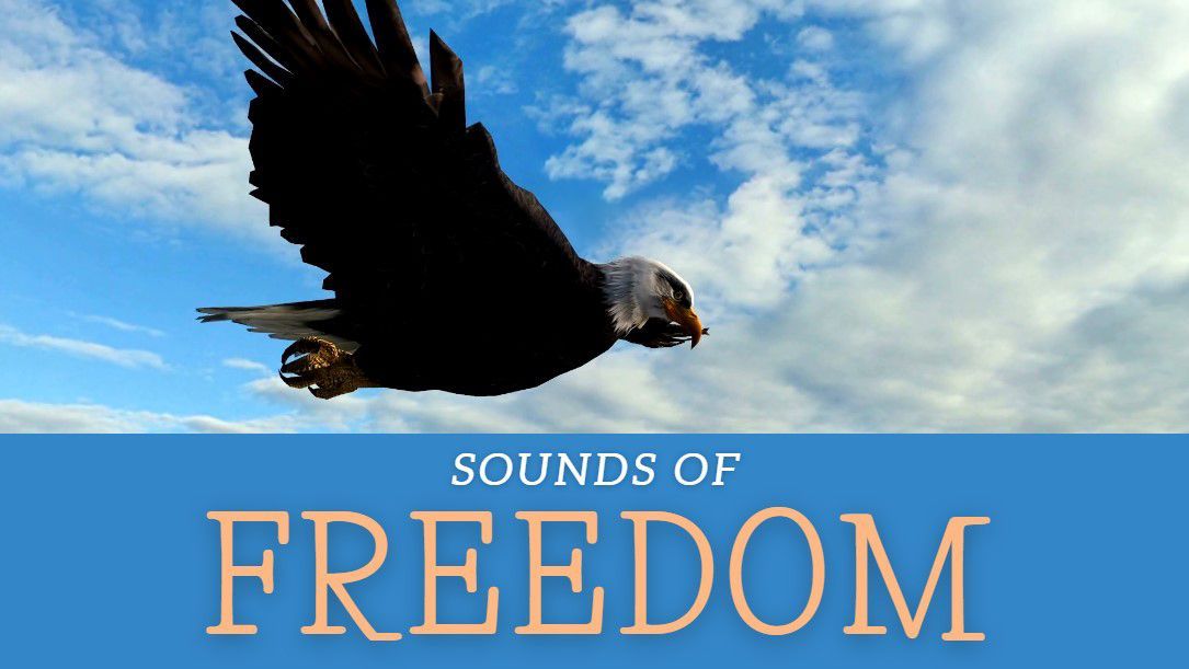 A bald eagle is flying in the sky above the words sounds of freedom