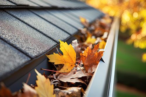 A close up of a gutter filled with leaves on a roof.