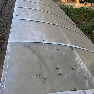 A dirty canopy before Astound's Canopy Cleaning Team have been