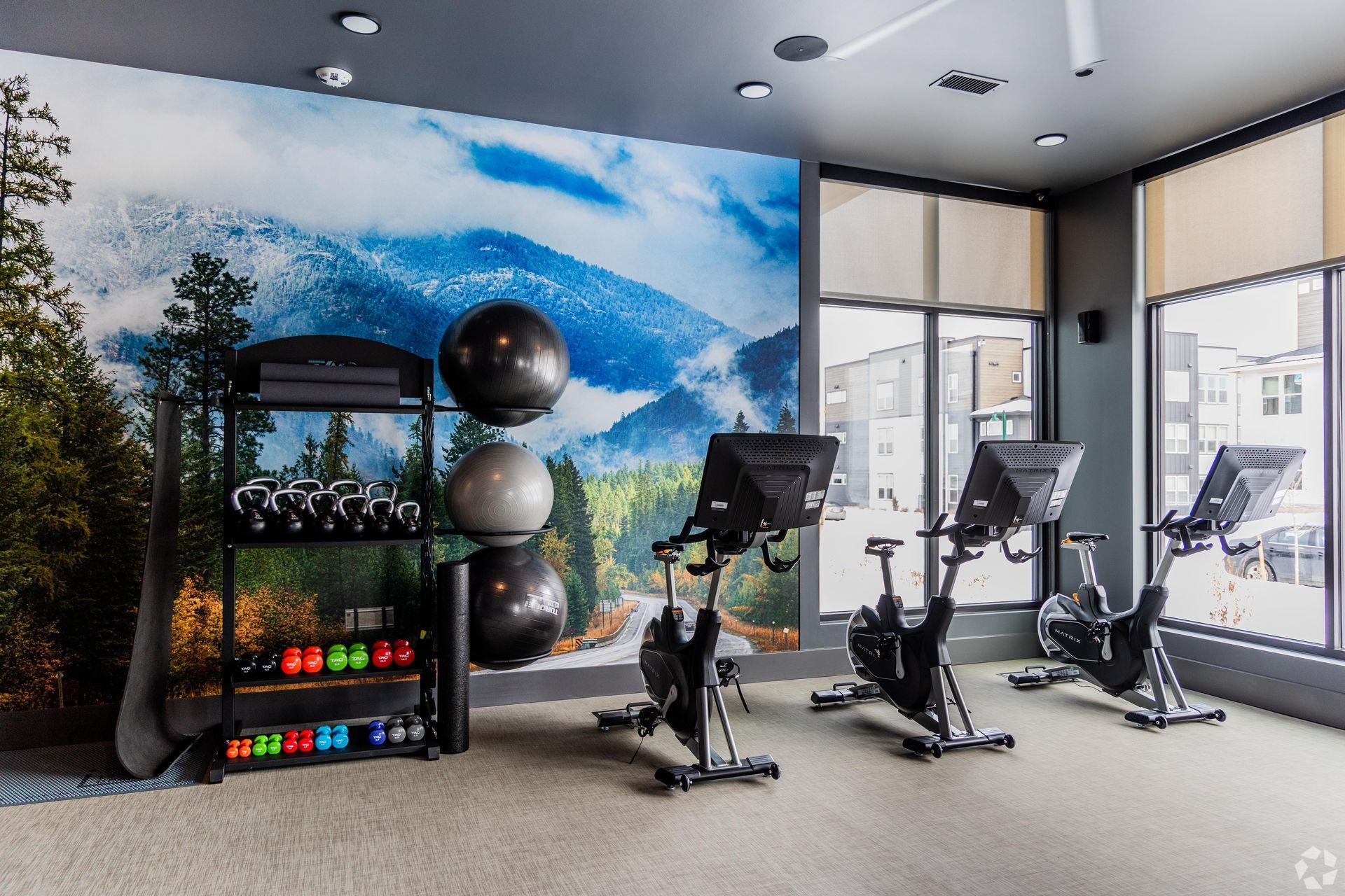Gym with stationary bikes, weights, and a mountain mural on the wall.
