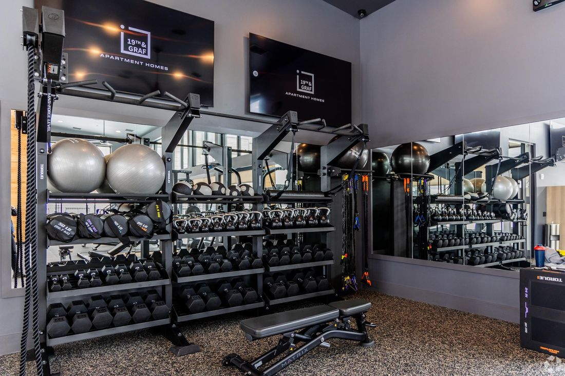 A well-equipped gym with black weights, exercise balls, and a bench.