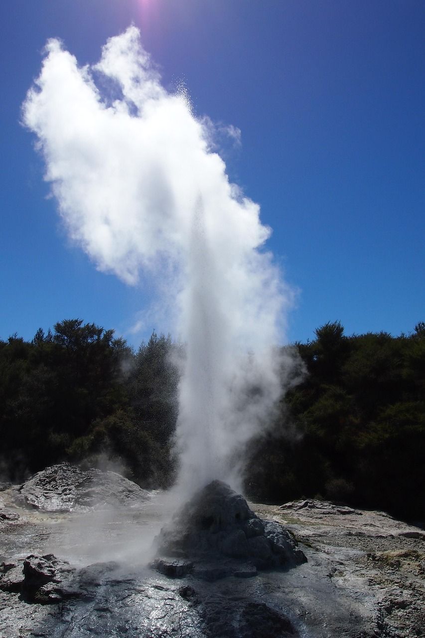 Te Puia Geyser erupting, shooting steam into blue sky, surrounded by dark trees, gray-blue earth.