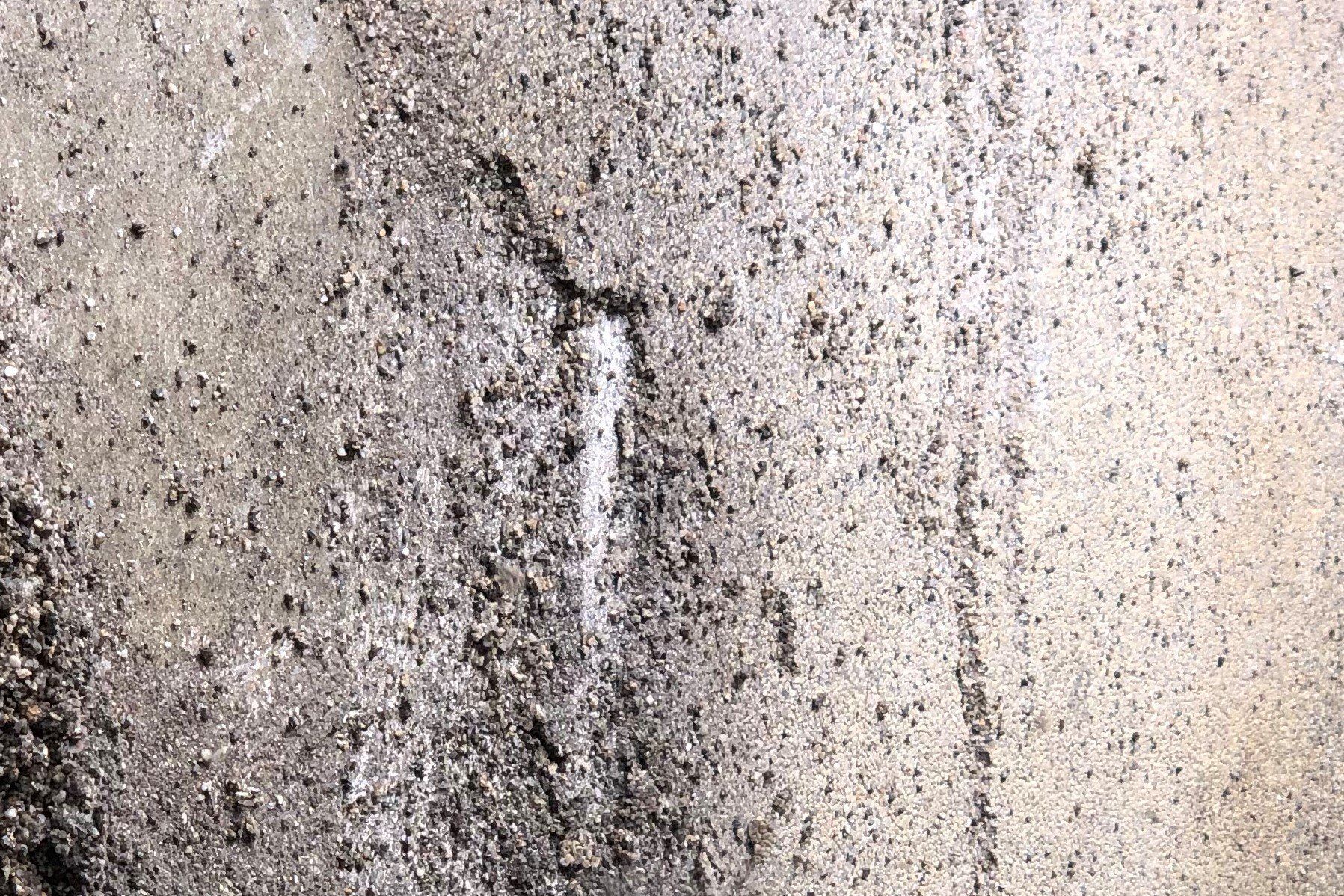 Nature Stone Removal