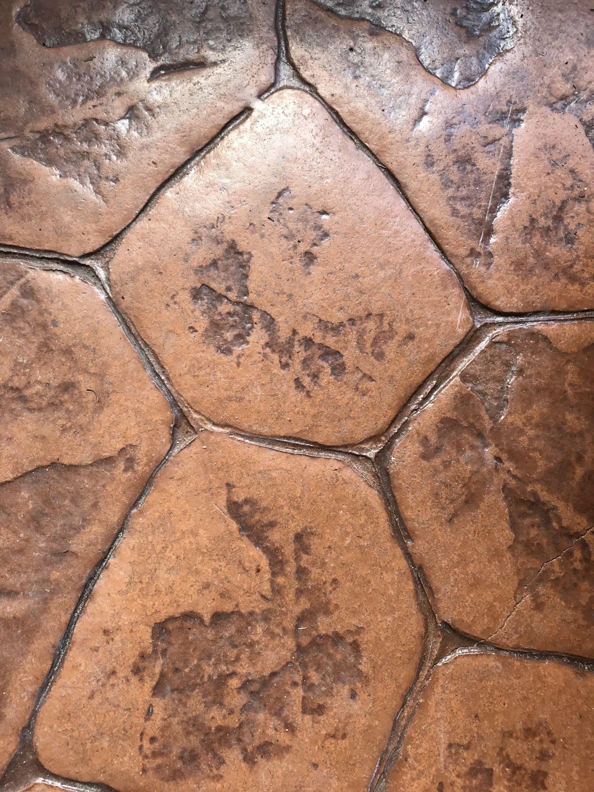 Stamped concrete Townsville
