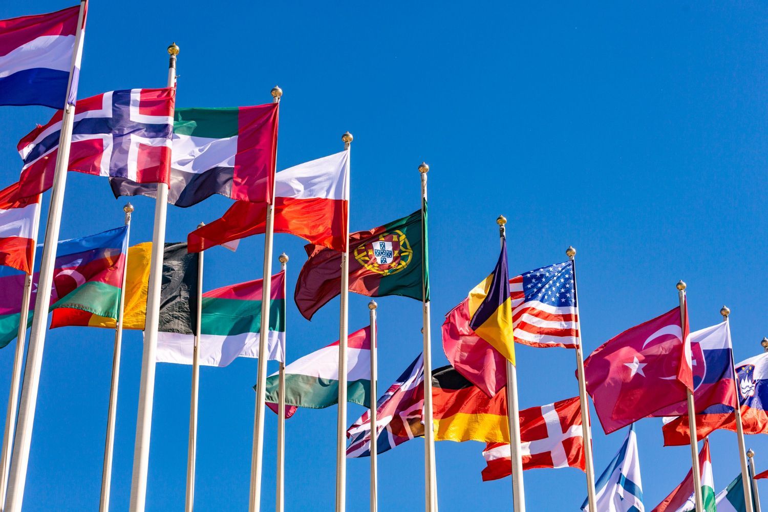 Multiple national flags waving on poles against a bright blue sky