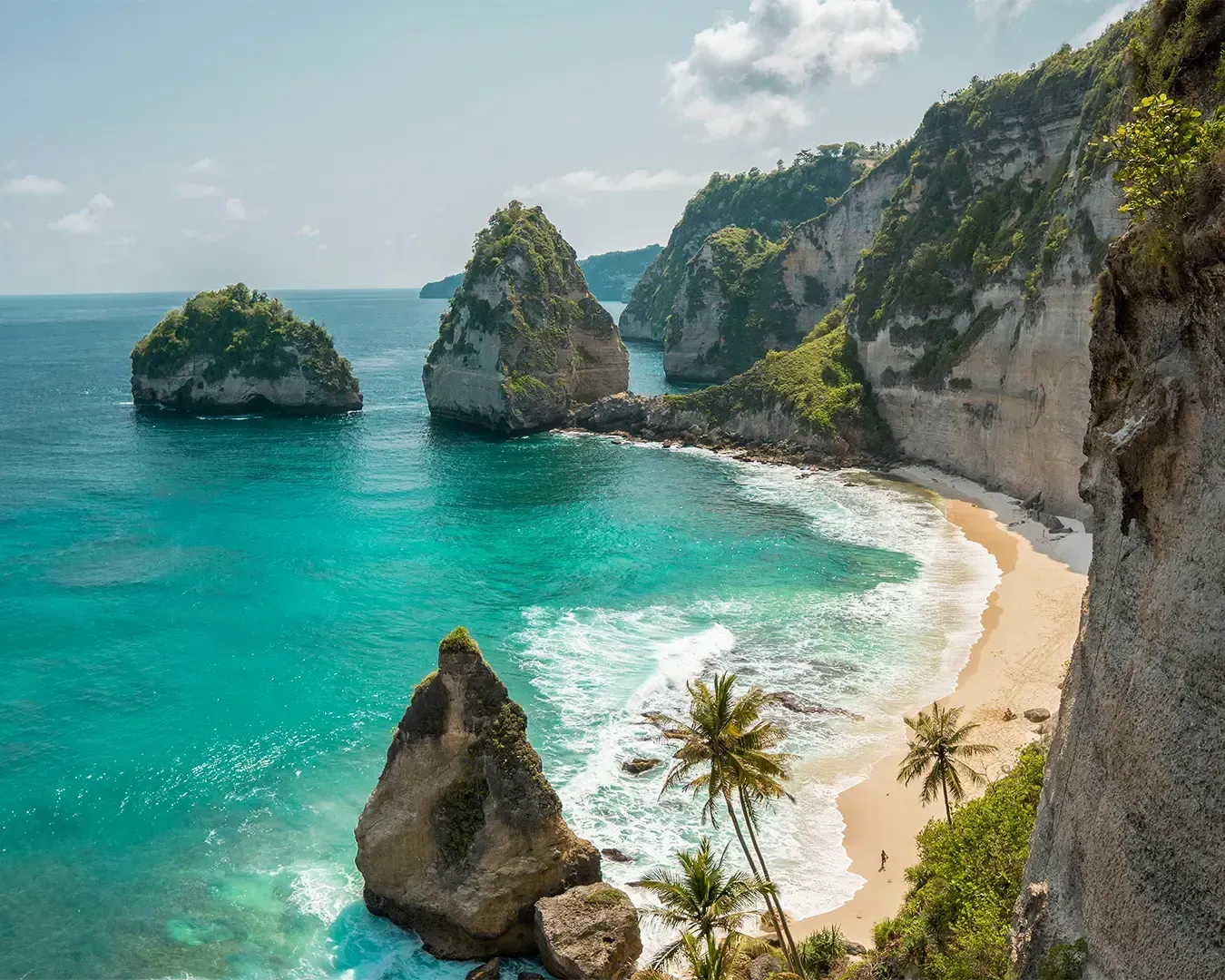Scenic coastal view with turquoise water, rugged cliffs, and small sandy beach fringed by palm trees