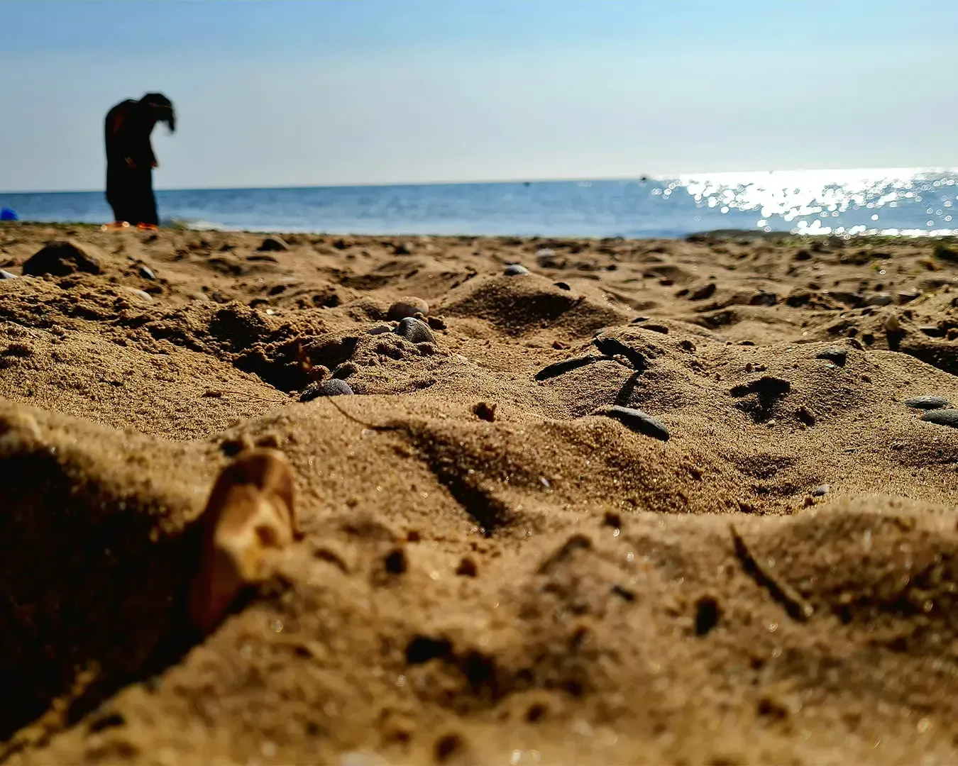 A close-up view of soft beach sand stretching across the shoreline, with natural textures and subtle patterns formed by wind and footsteps. 