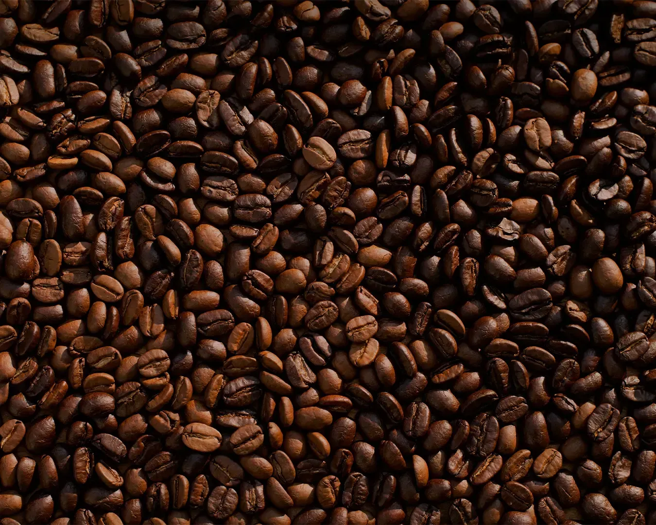 Close-up of freshly roasted coffee beans with rich brown textures and natural oils, creating a warm and aromatic visual of premium coffee beans