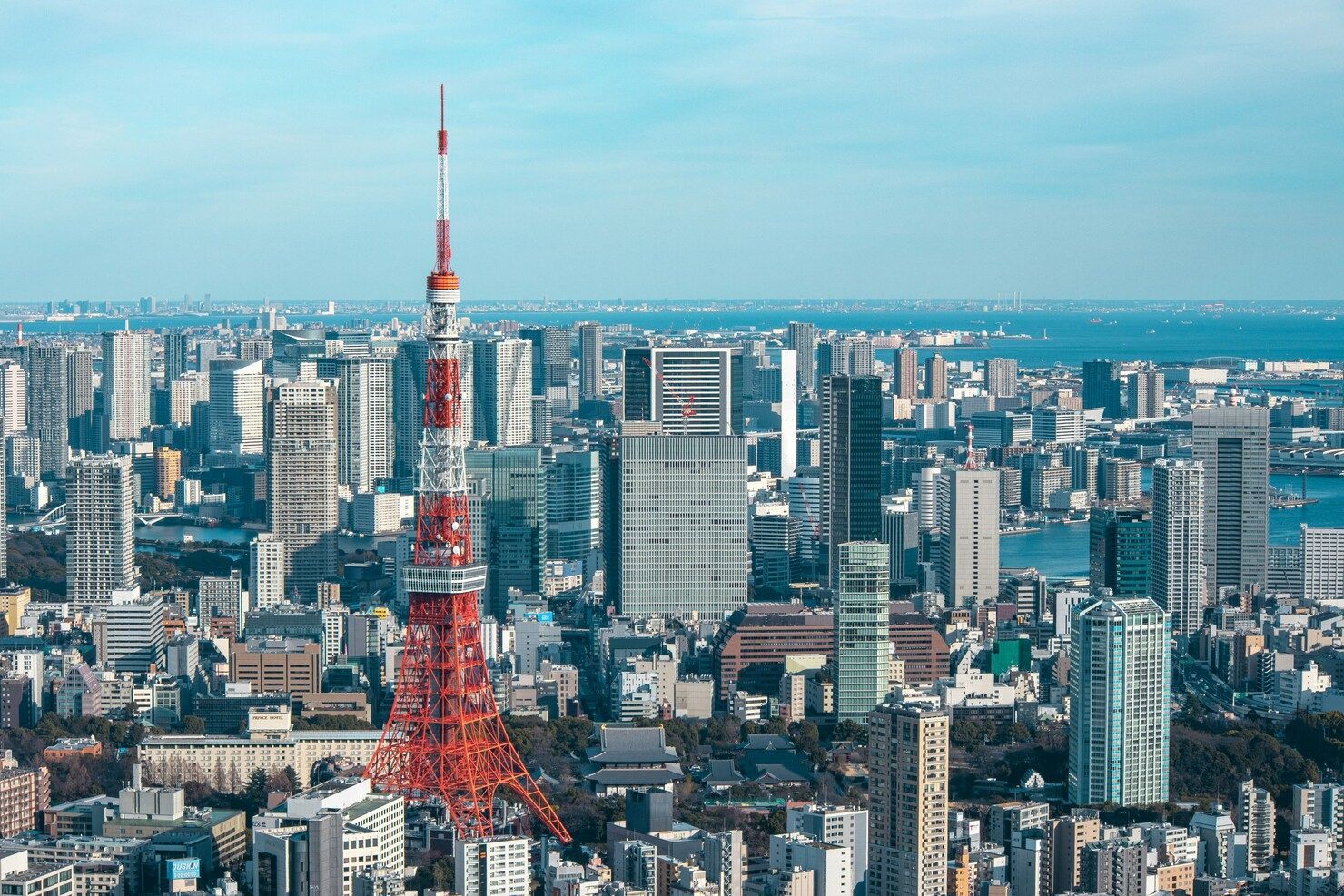 Travelling Assistant : Tokyo Tower glowing against the evening skyline.
