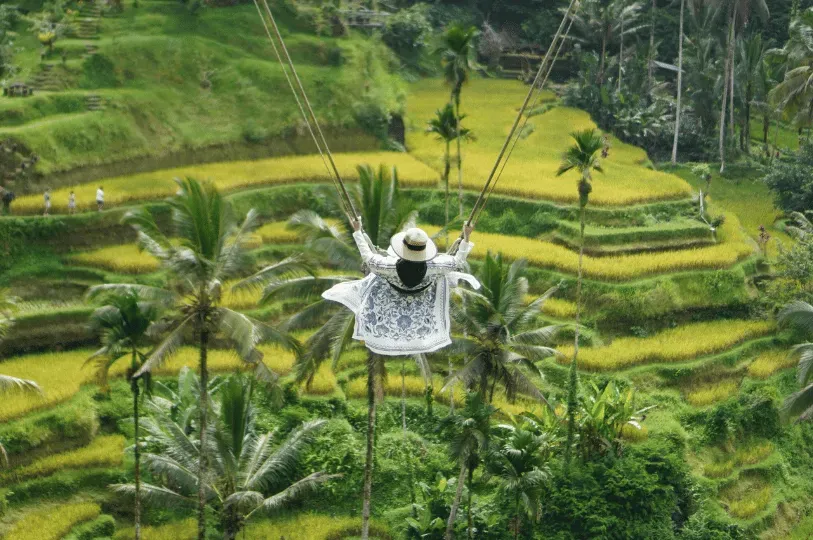A woman in a flowing dress and sun hat swings high above iconic, vibrantly green, tiered rice terrac