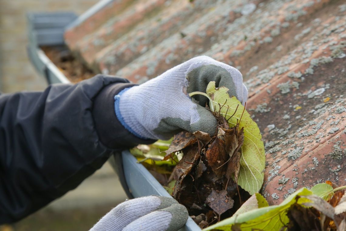 Person wearing gloves cleaning a gutter filled with leaves.